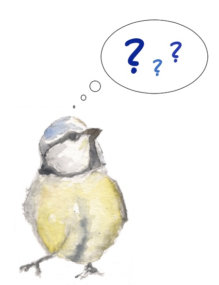 FAQ - Häufige Fragen 6 Besuchermeise mit Fragen