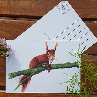 EichhörnchenPostkarte